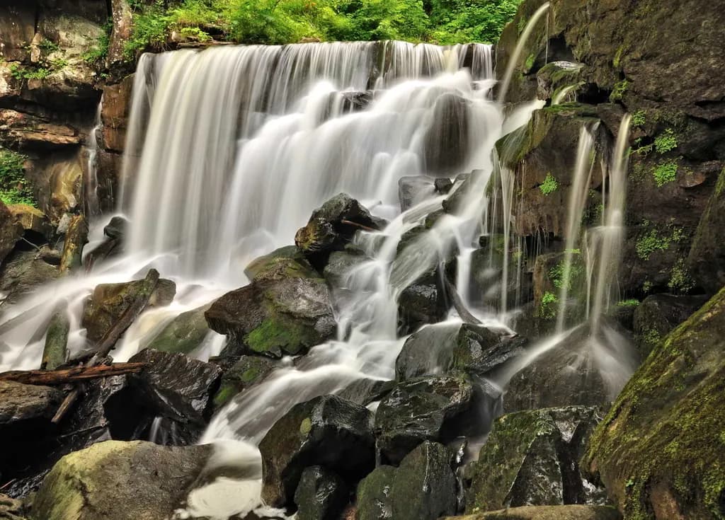 Cascading Forest Waterfall