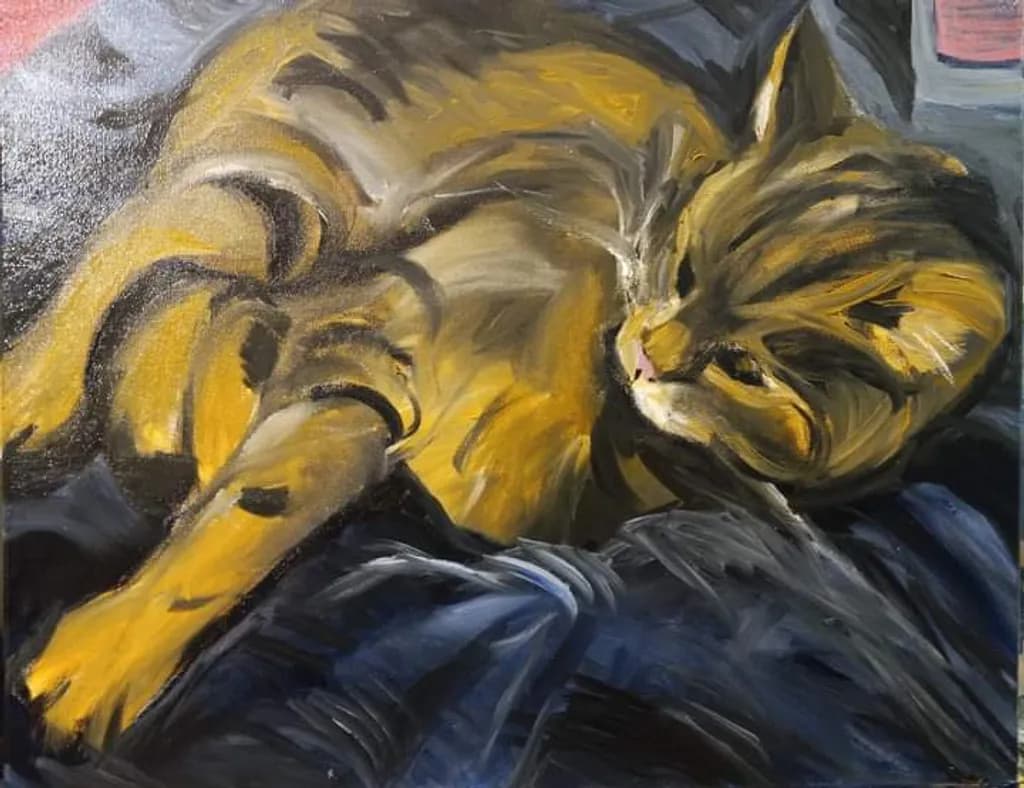 Golden Curled Cat