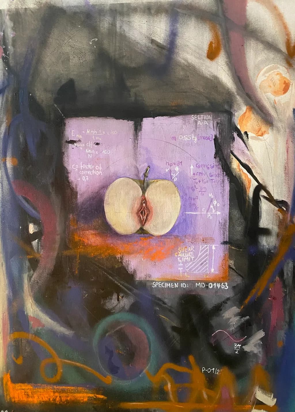 Anatomical Apple Study