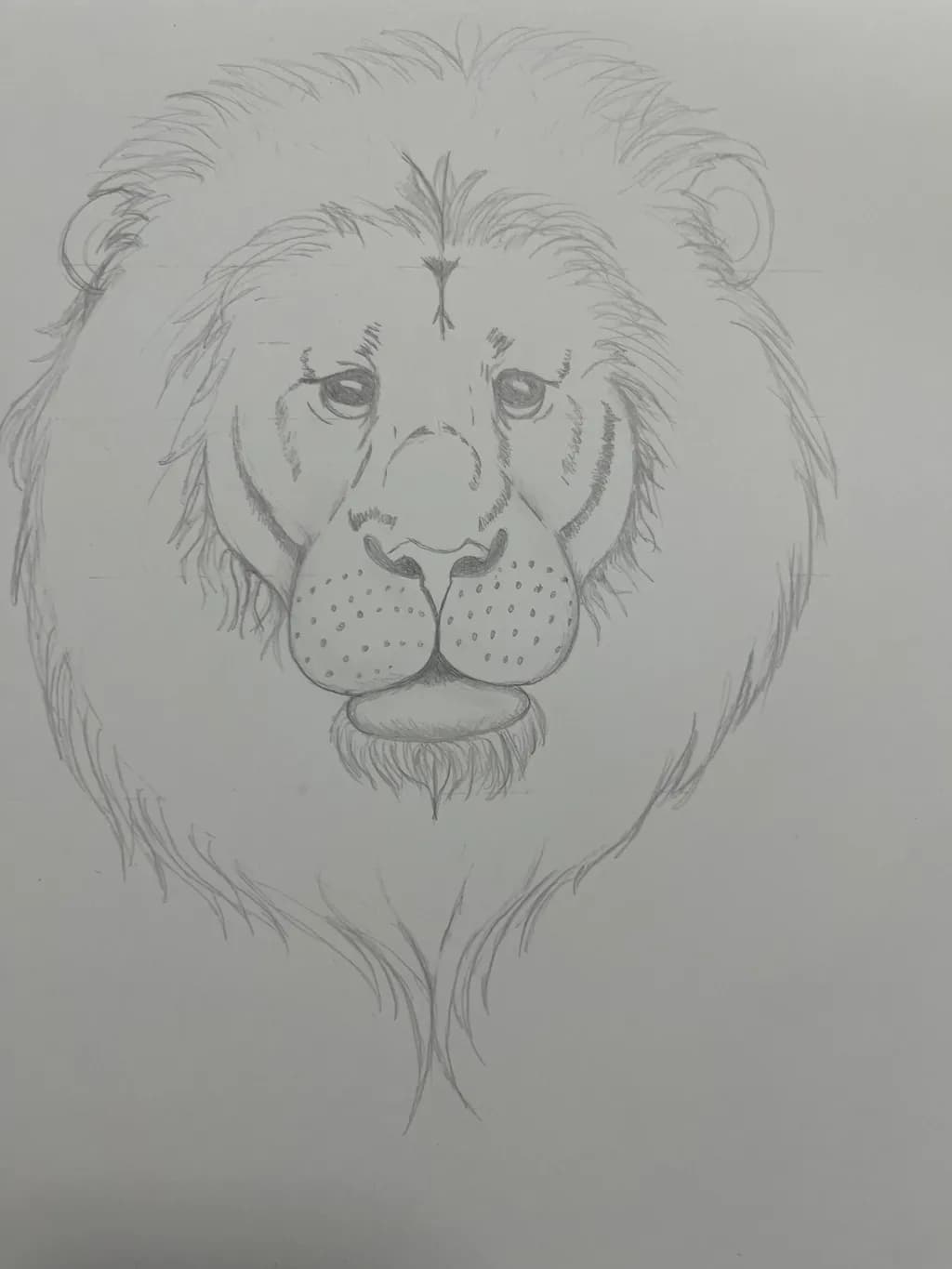 Lion’s Gaze