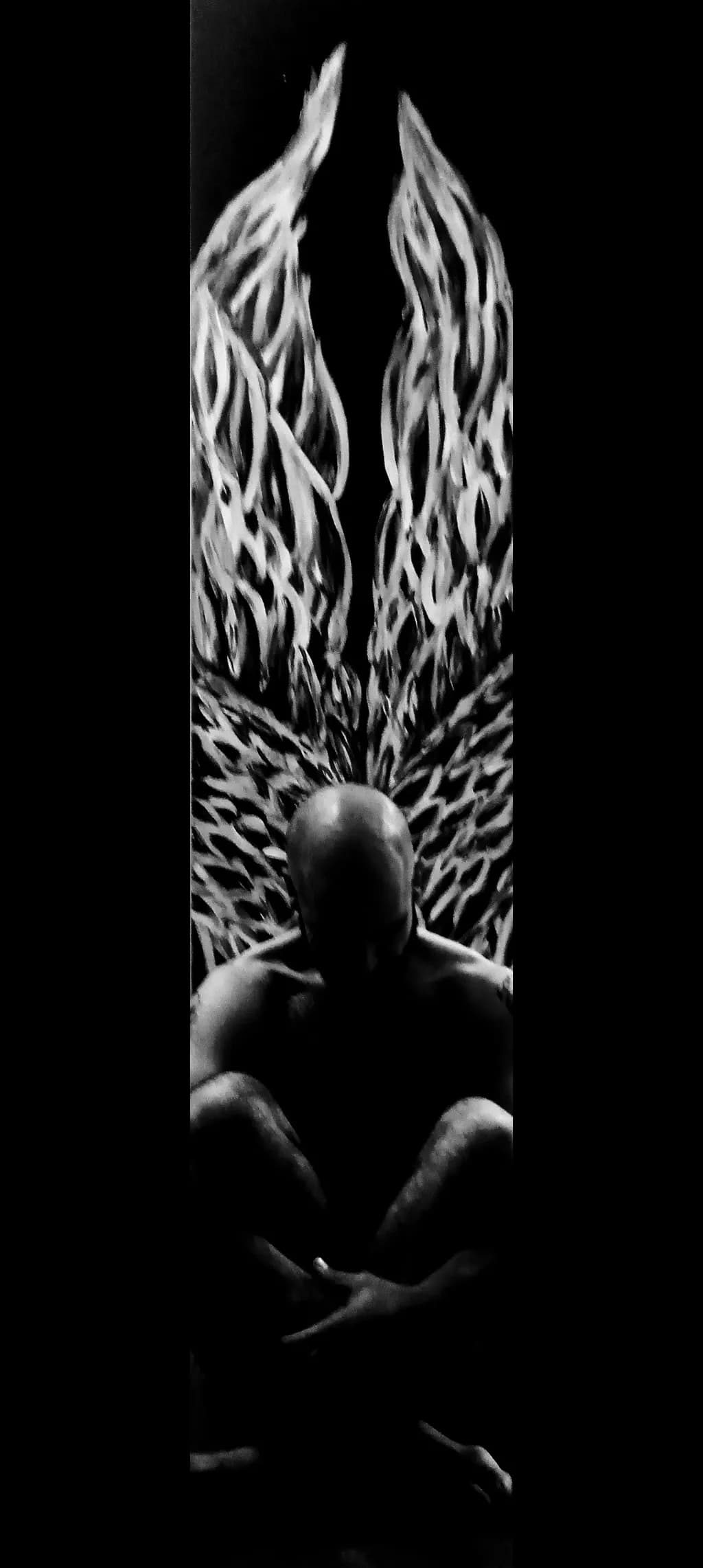Shadowed Wings