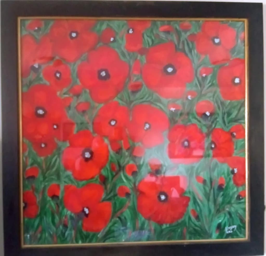 Scarlet Poppy Field