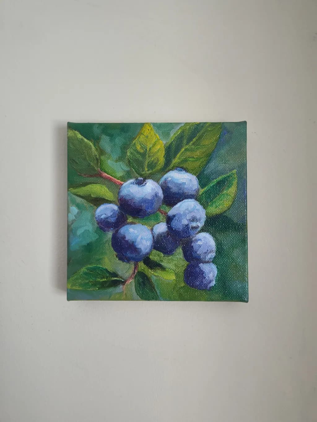 Blueberry Branch Study