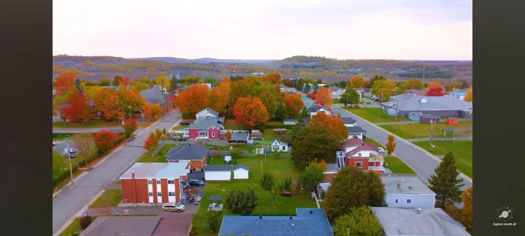Autumn Town From Above
