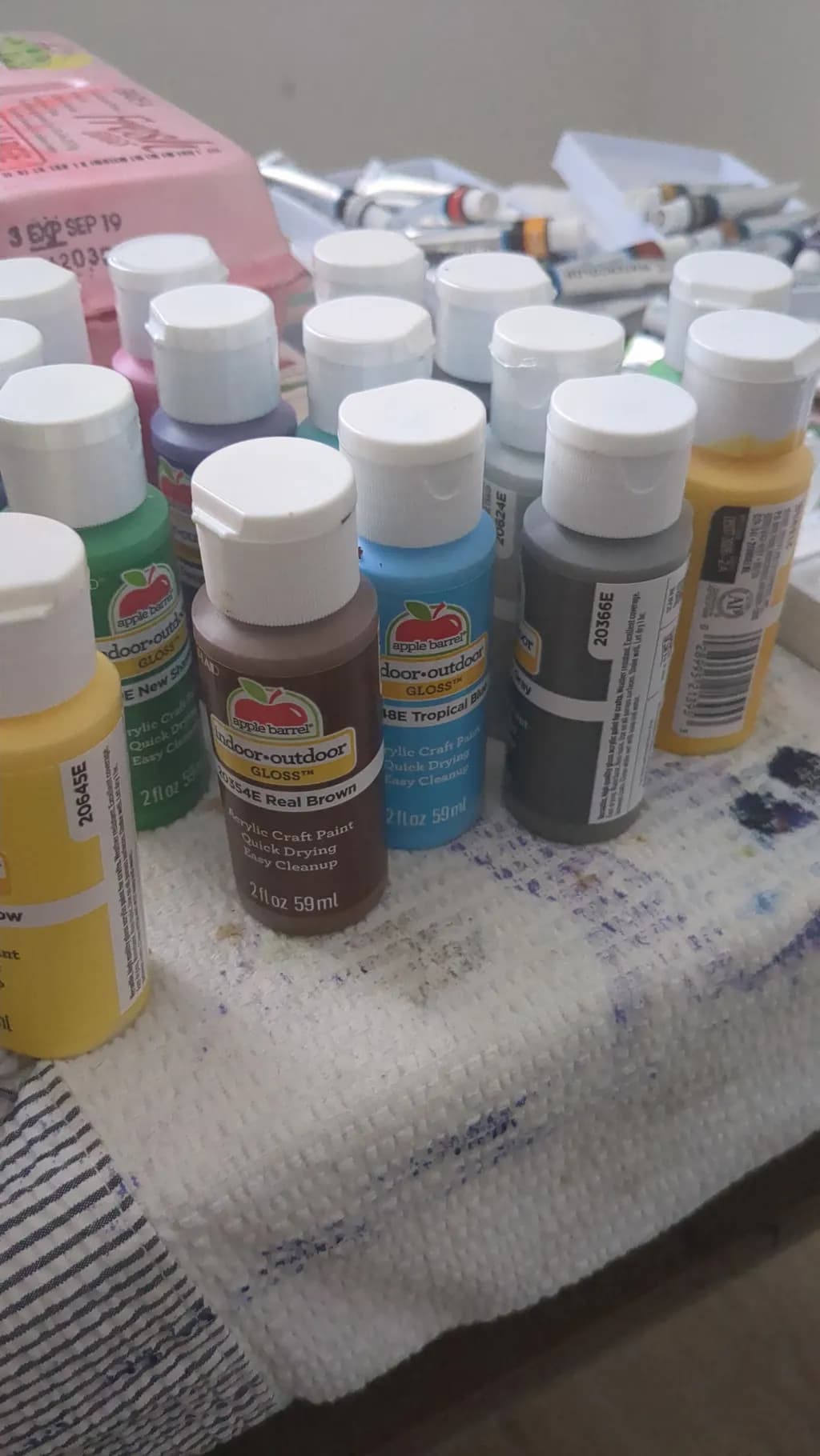 Colorful Craft Paint Collection