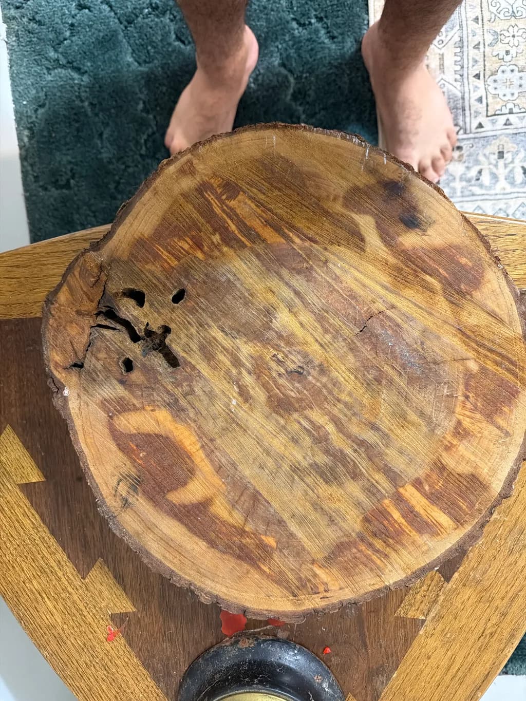 Woodgrain Cross-Section