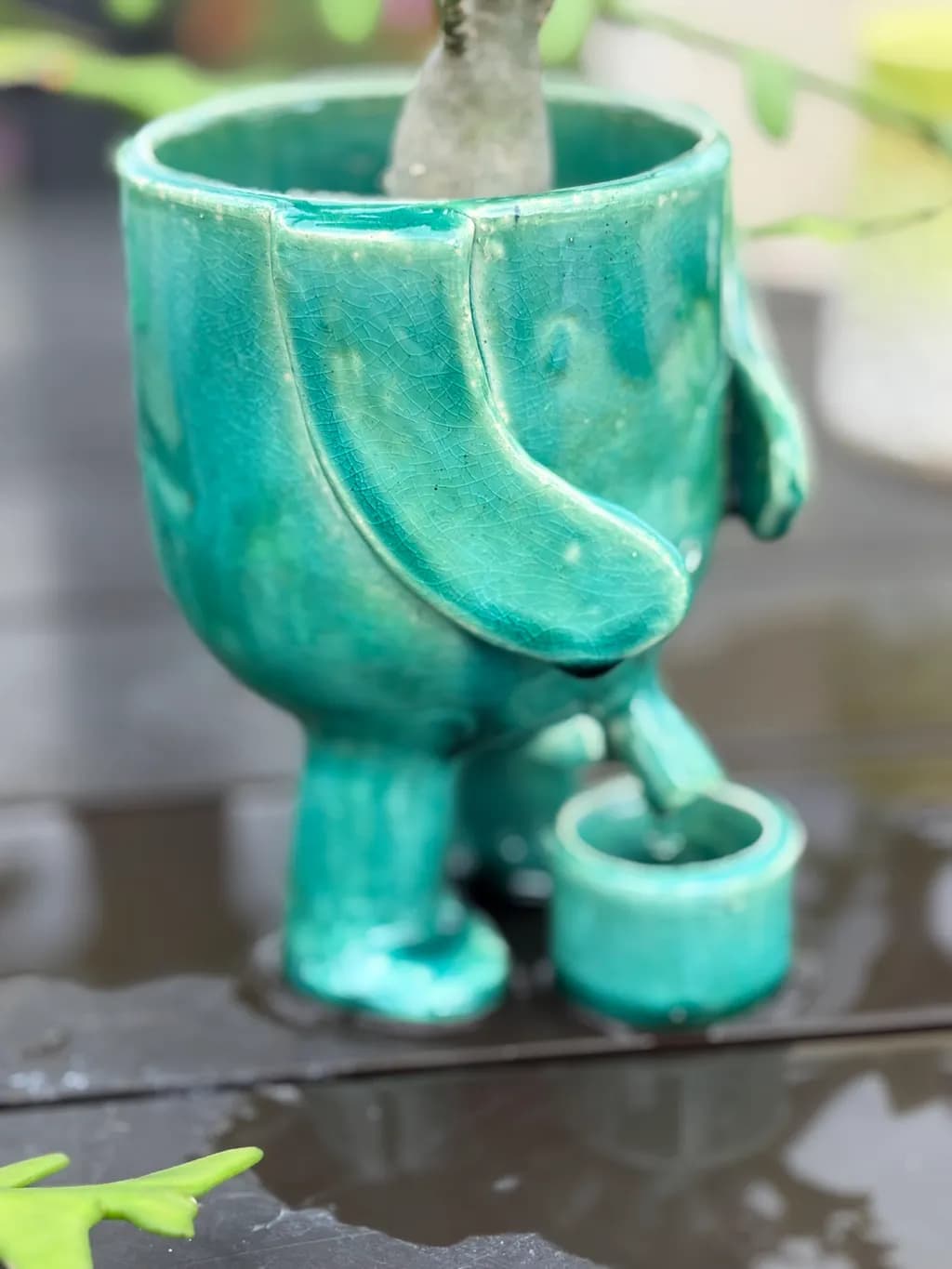 Turquoise Frog Planter