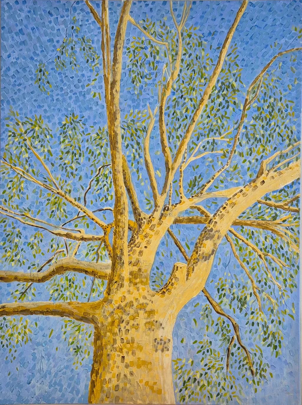Gumtree