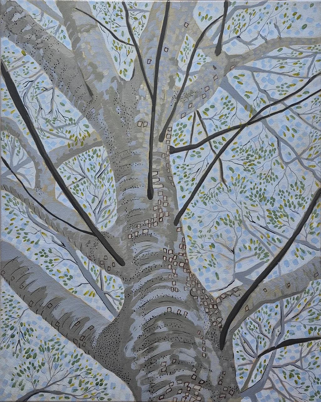 Gumtree Canopy