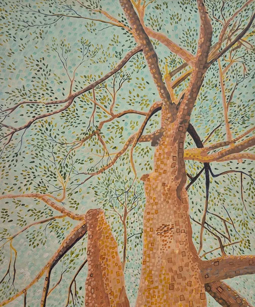 Gumtree Canopy