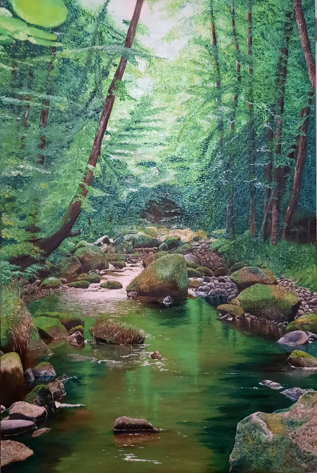 Forest Stream Sanctuary