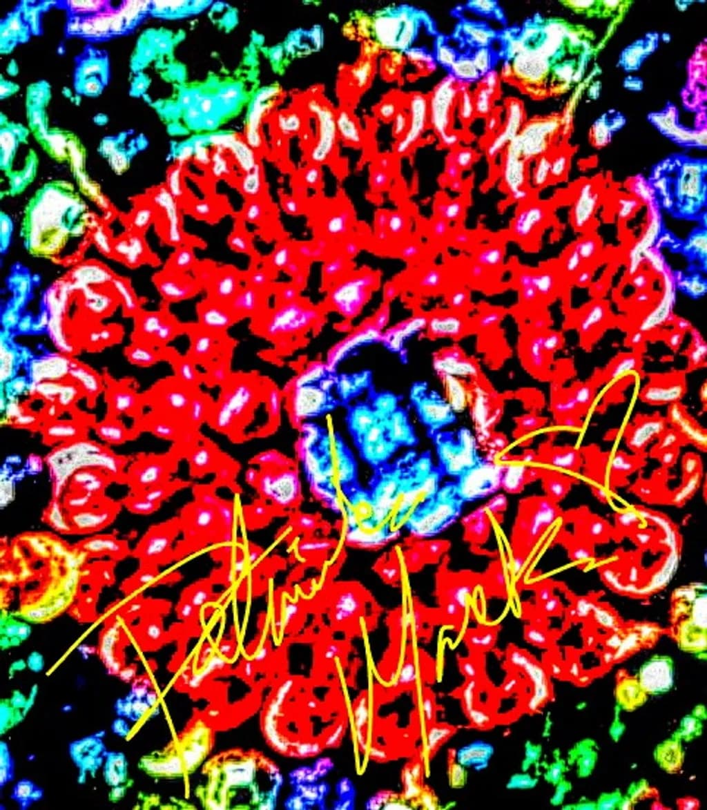 Electric Flower
