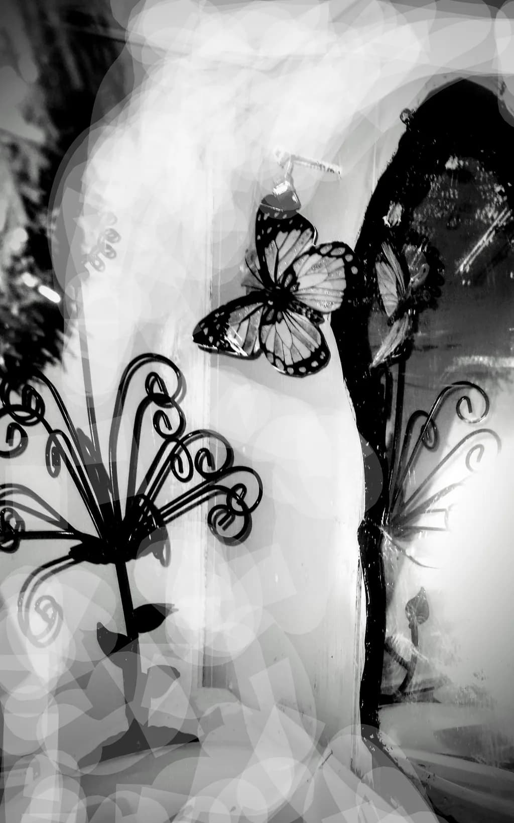 Monochrome Ornate Butterflies