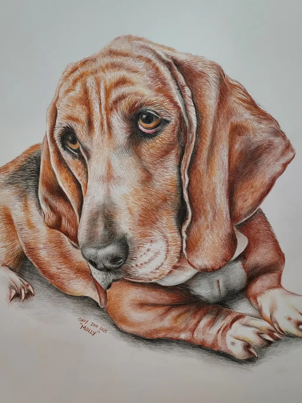 Molly the Hound