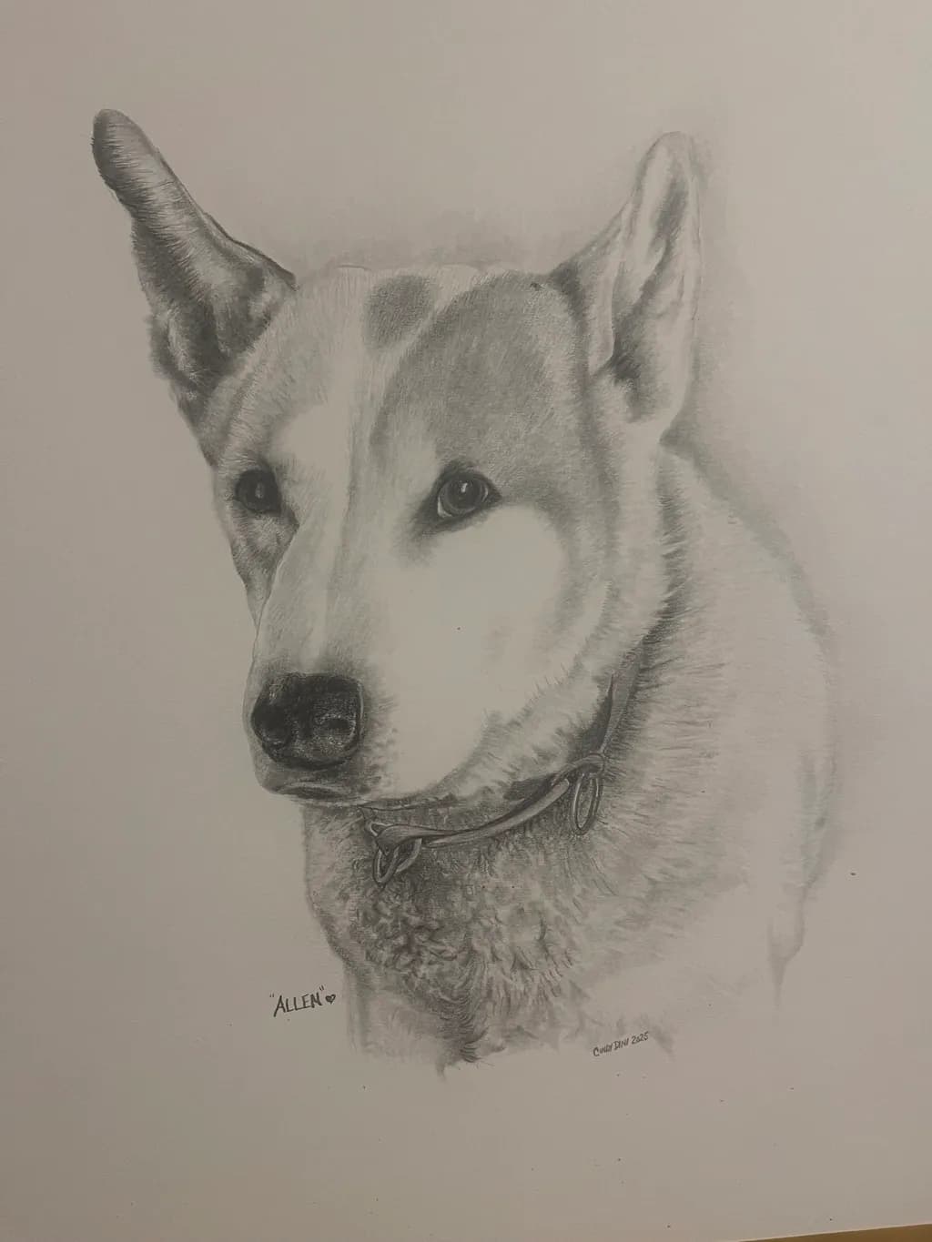 Loyal Dog Portrait