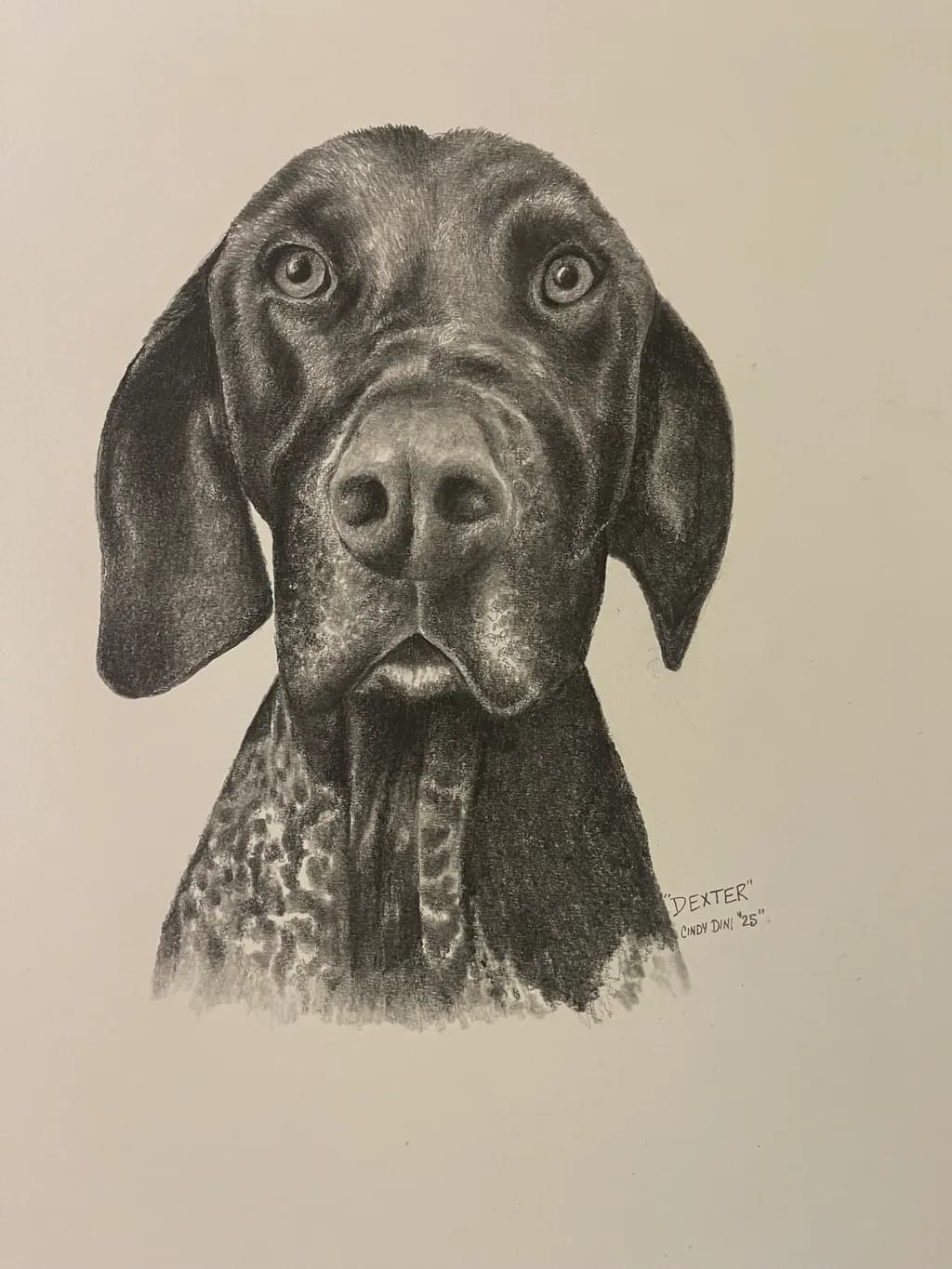 Dexter the Pointer