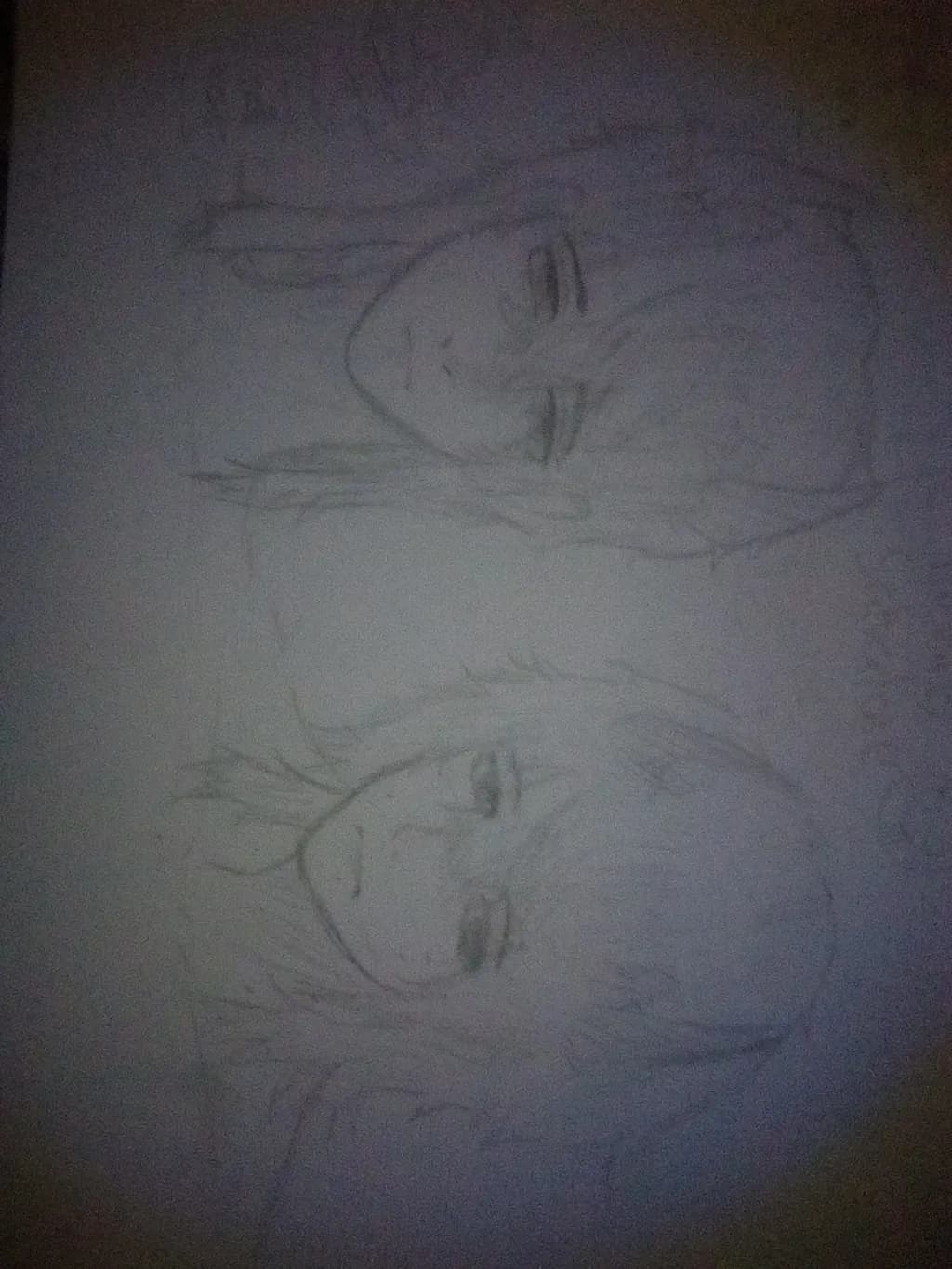 Twin Fish Study
