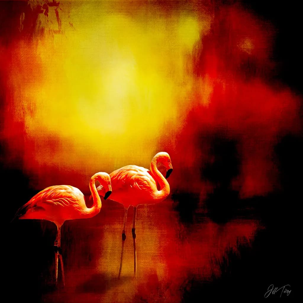Flamingo Sunset