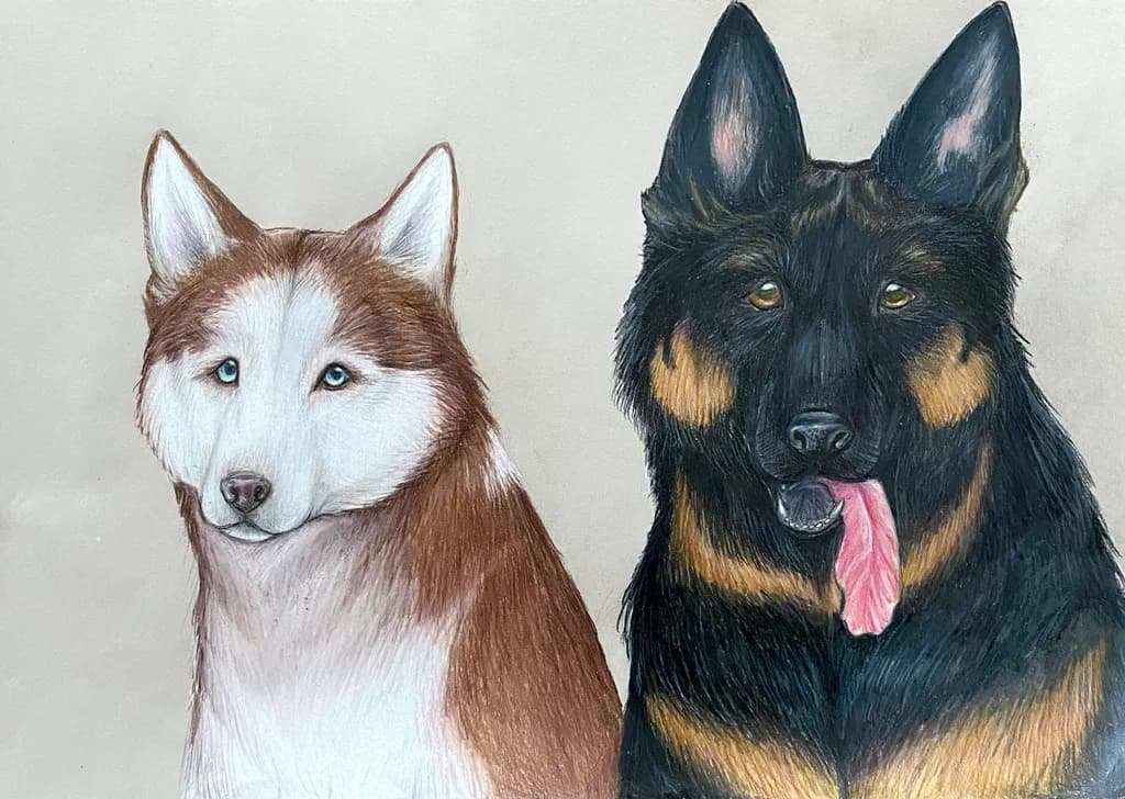 Husky and Rottweiler Portrait