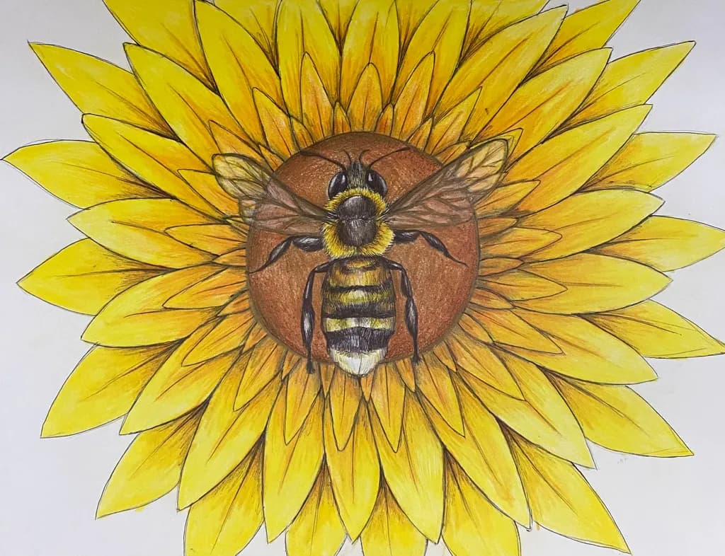 Sunflower Bee Encounter