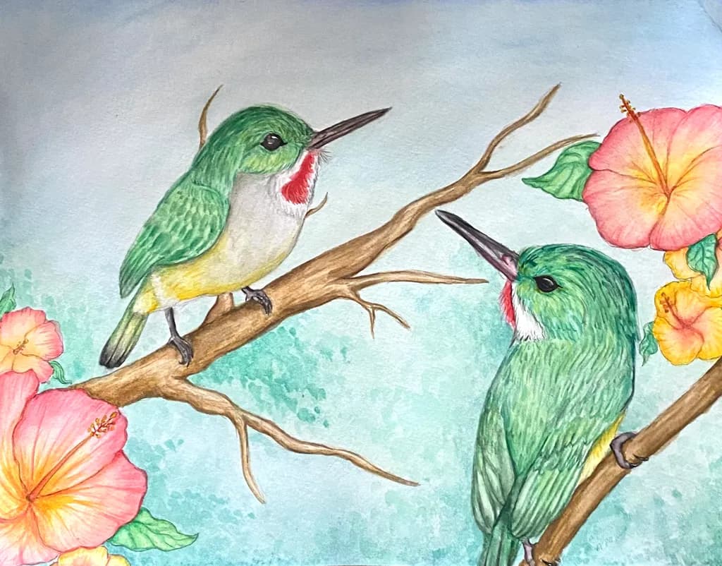Hibiscus Hummingbirds