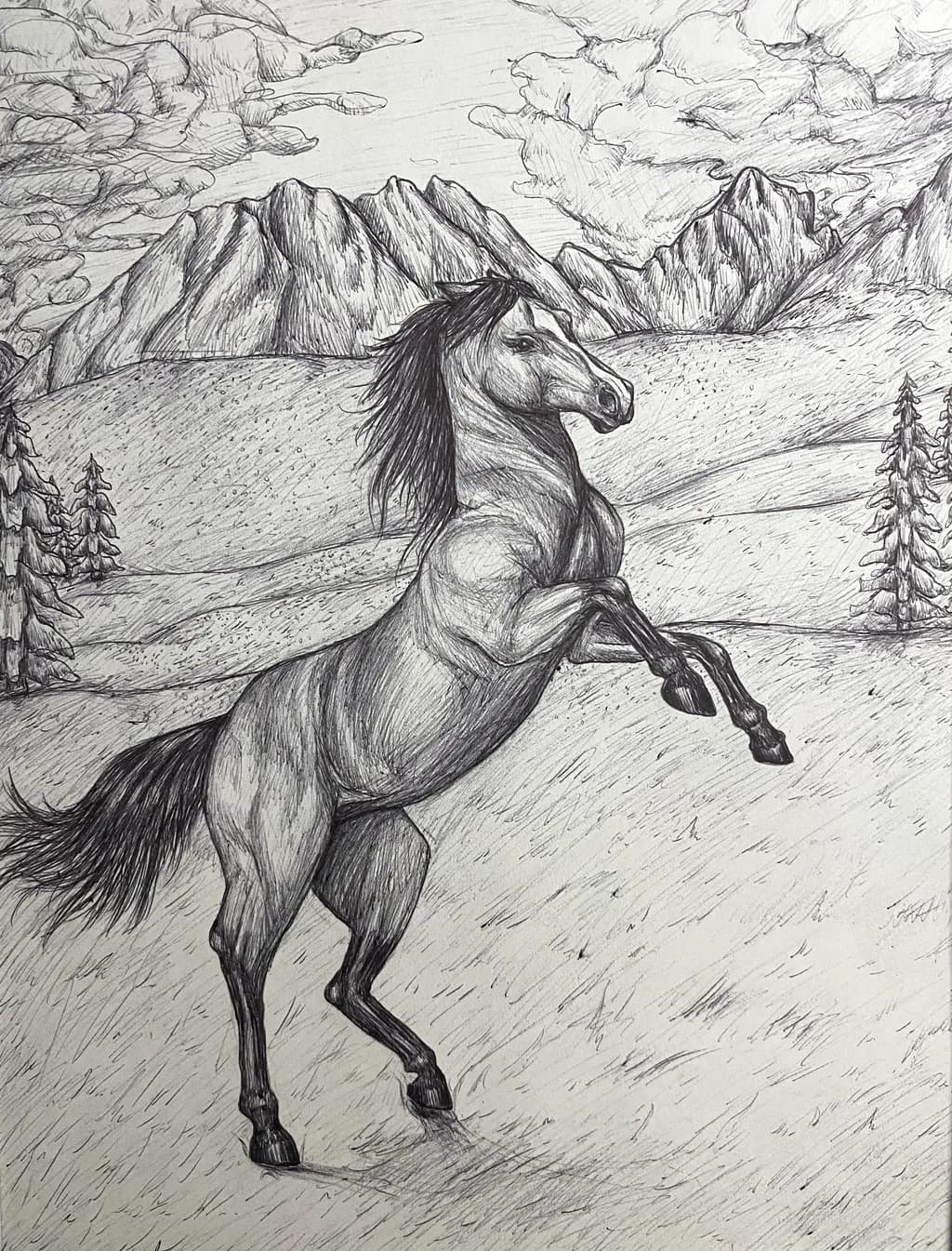 Mountain Horse Rising