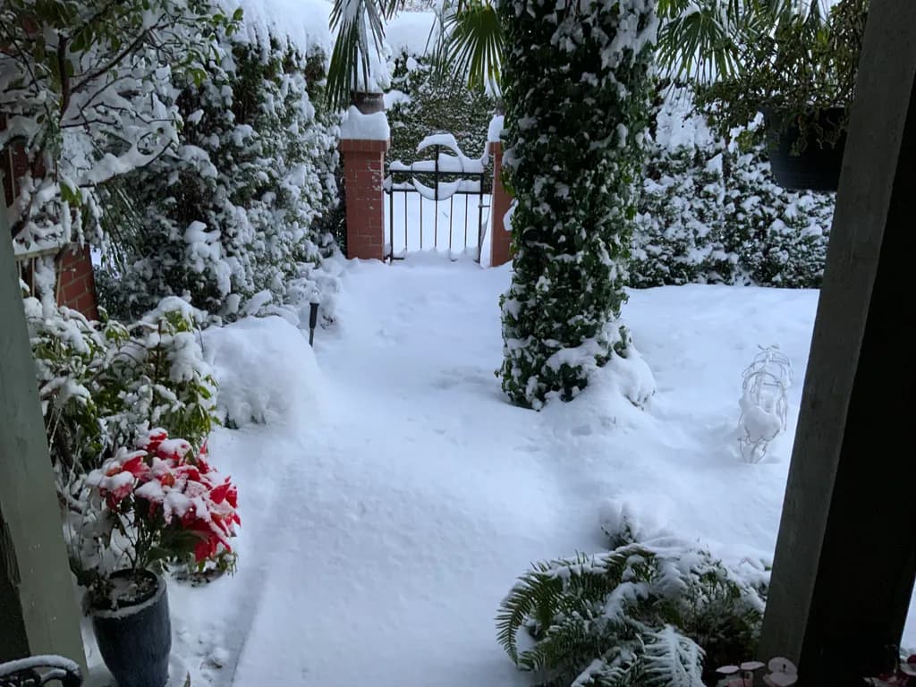 Snow-Covered Garden Gate