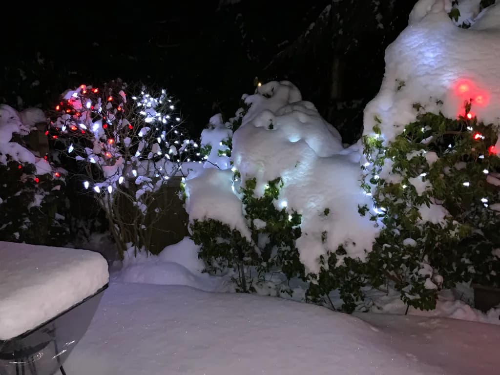 Snowy Holiday Lights