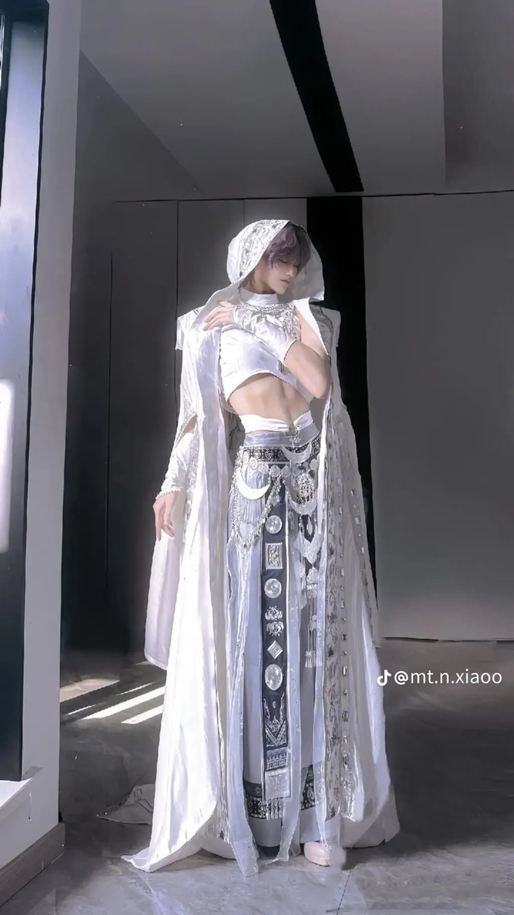 Silver Veil Attire