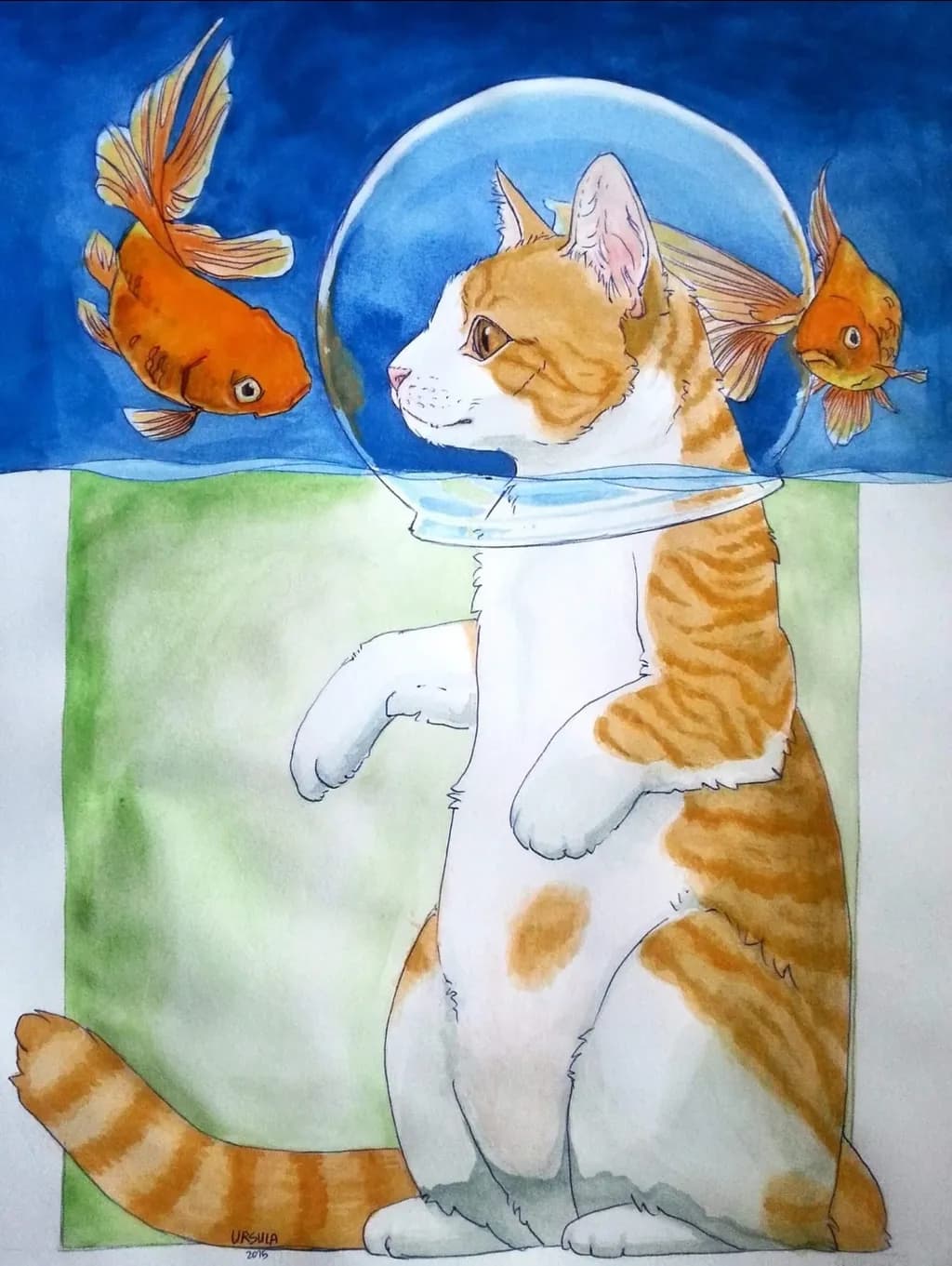 Cat Among Goldfish