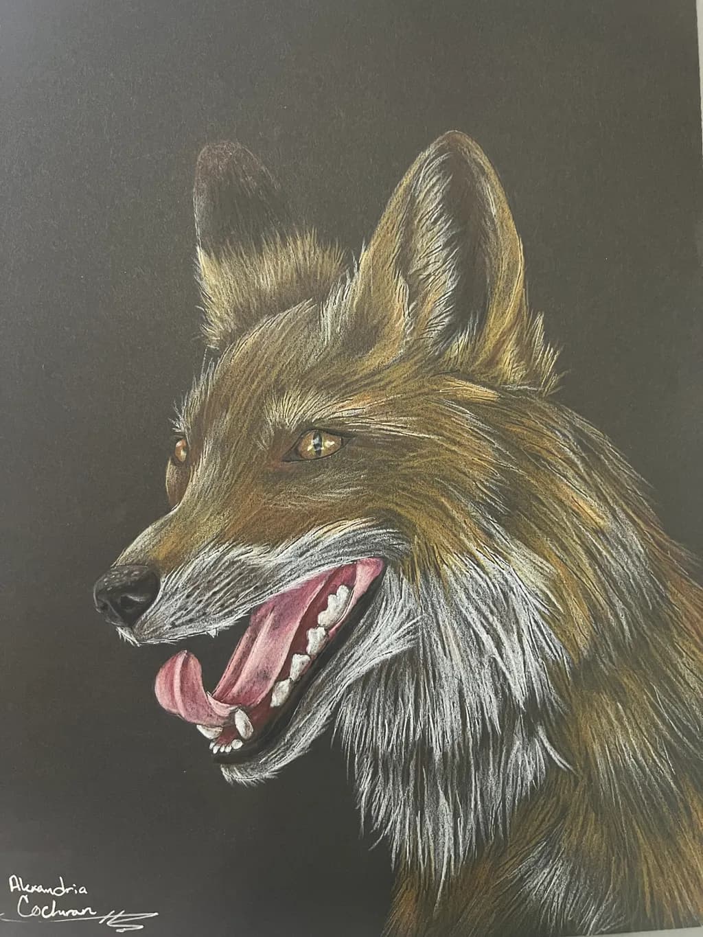 Golden Wolf Portrait