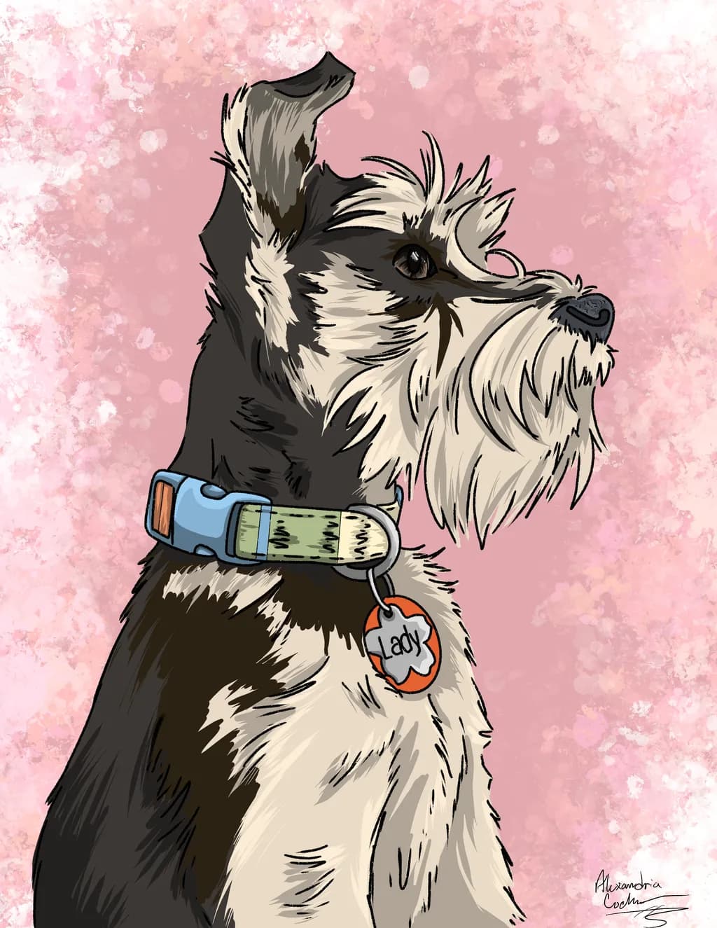 Lady the Schnauzer