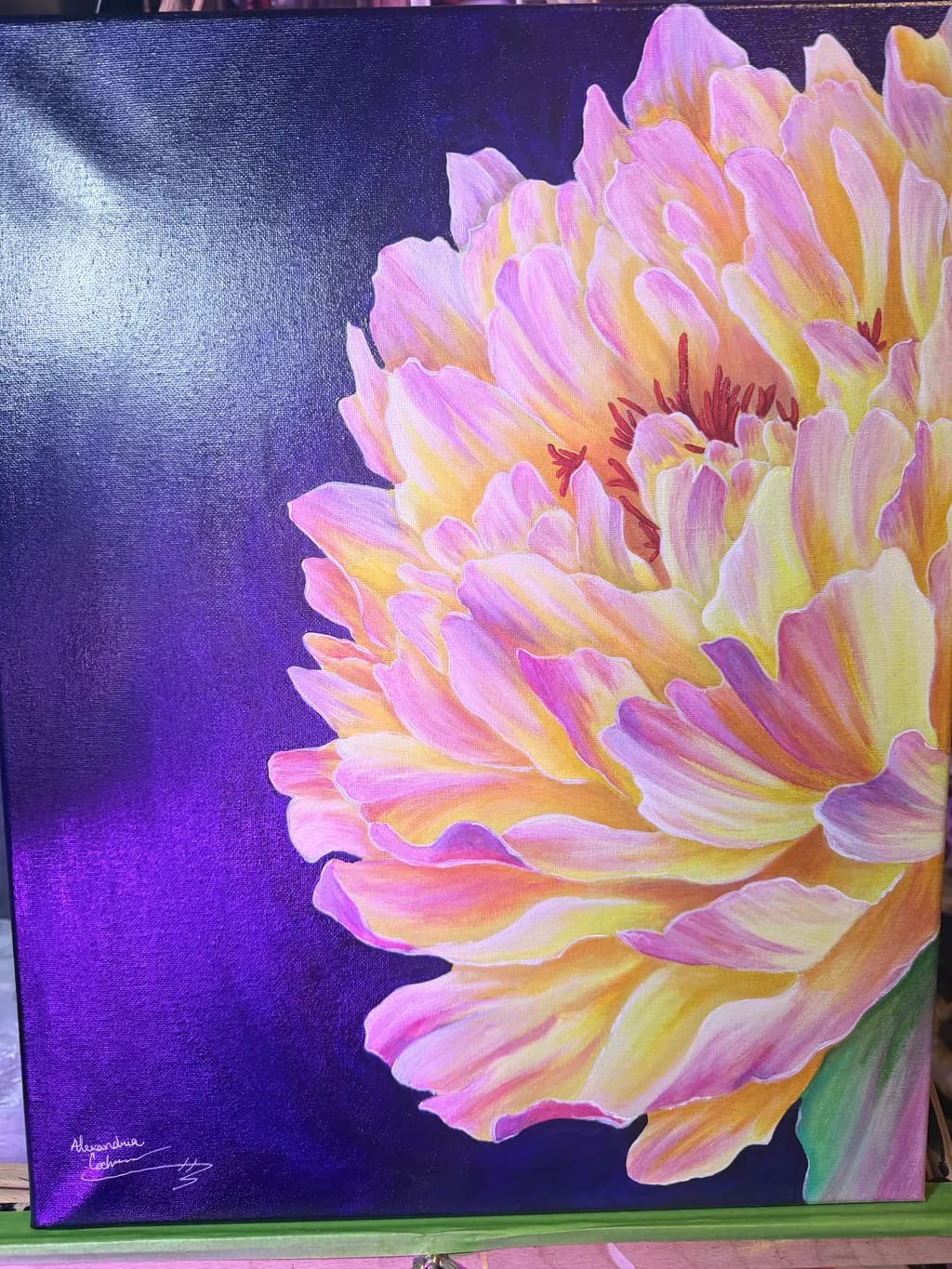 Peony in Purple Light