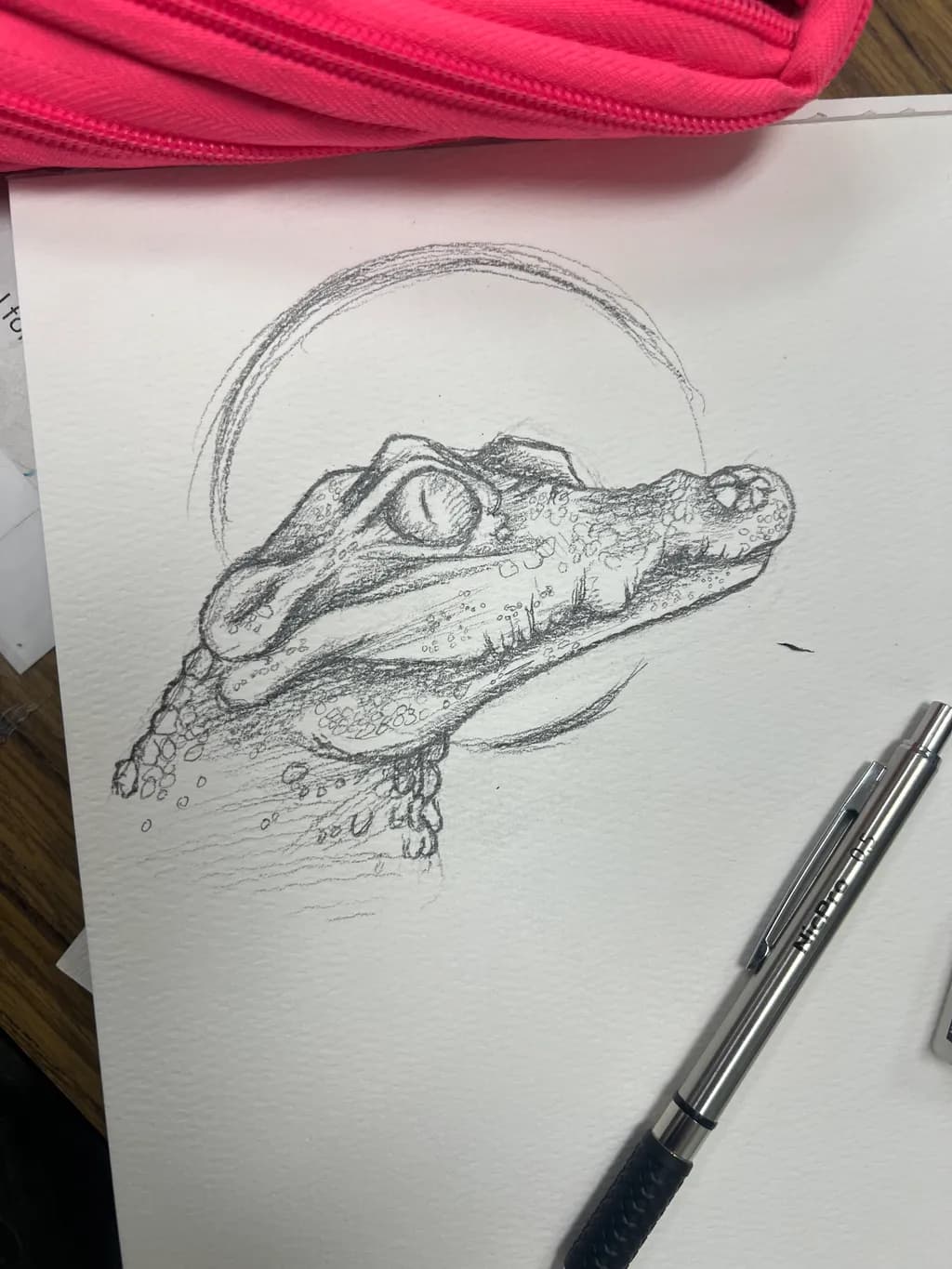 Crocodile Under the Moon