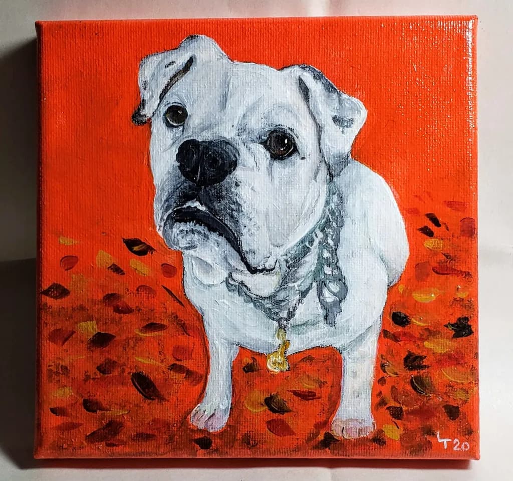 Bulldog on Red