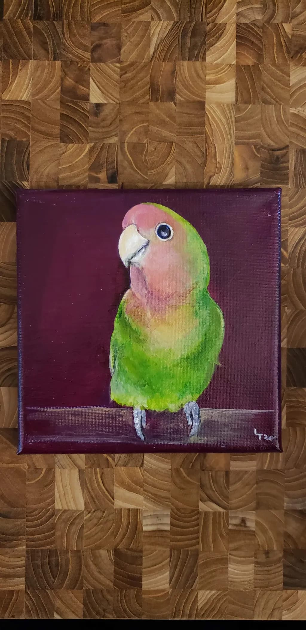 Green Parrot Portrait