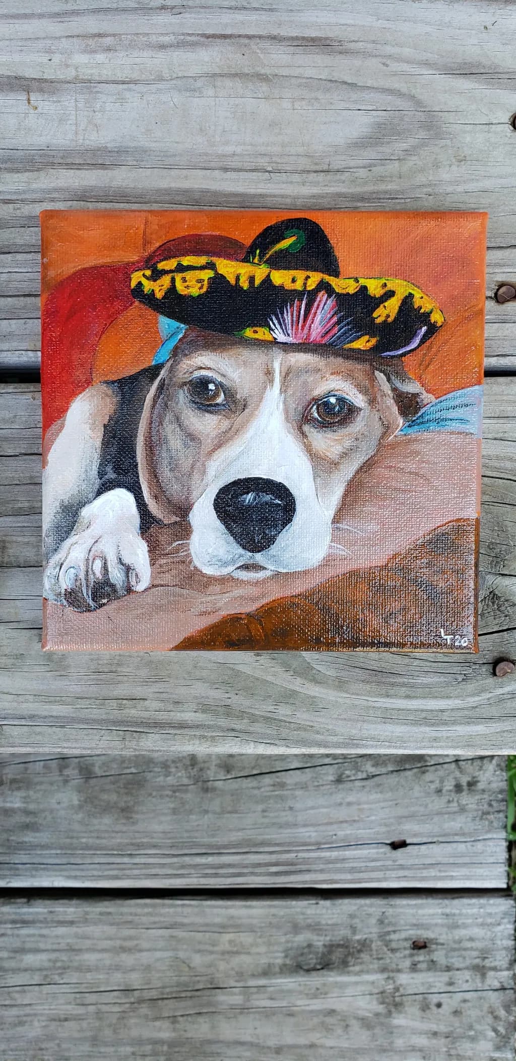 Hat-Wearing Hound
