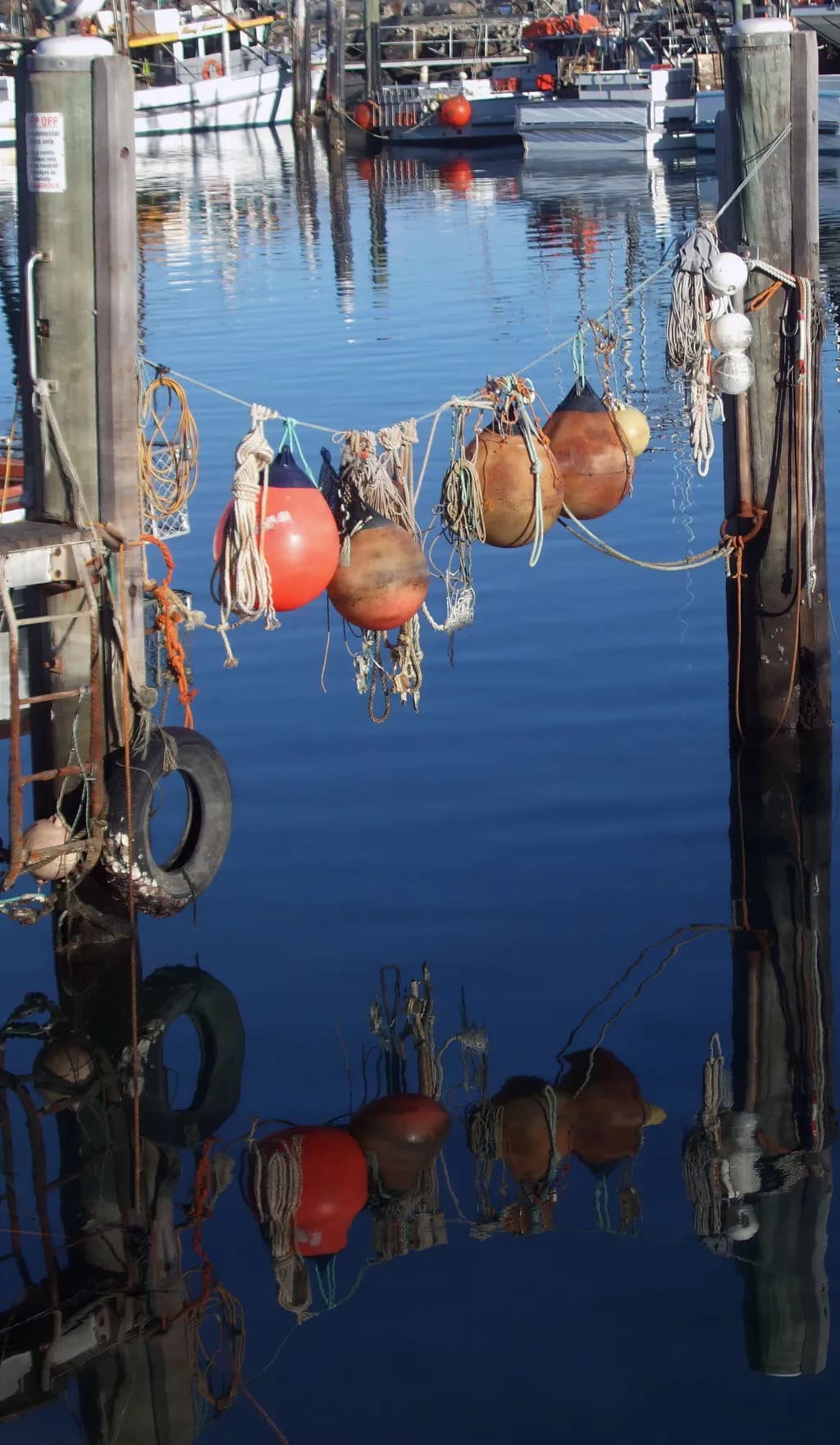 Fishing Gear Reflections