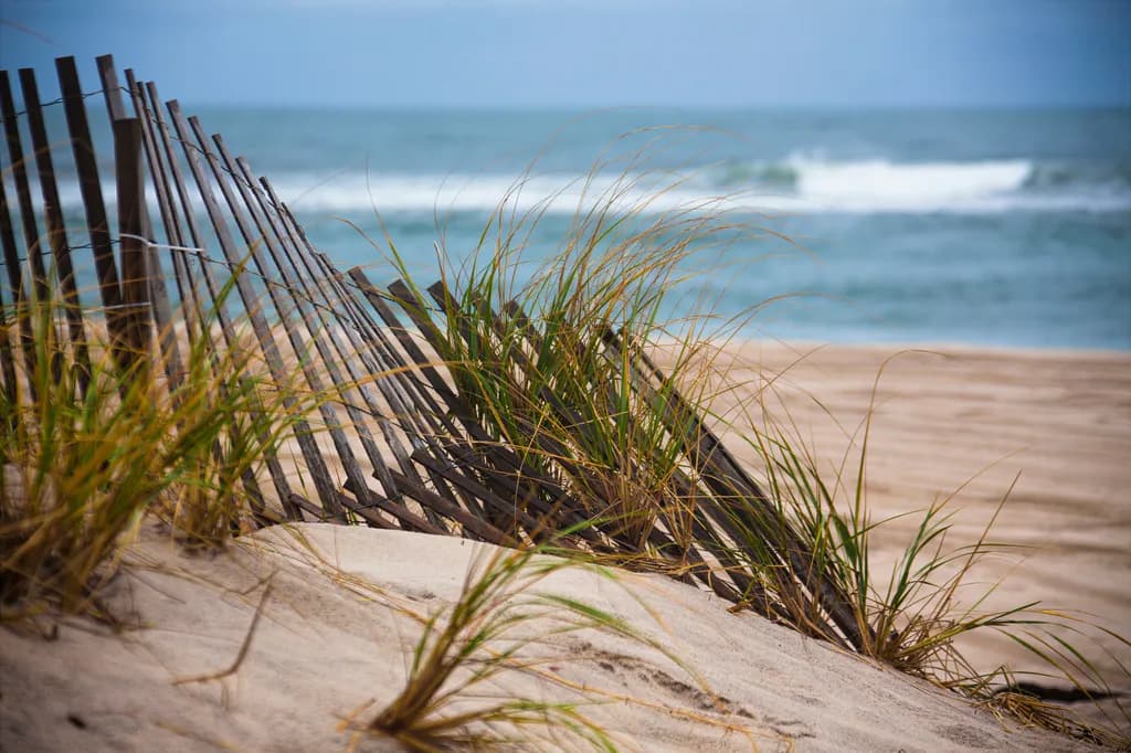 At the Beach