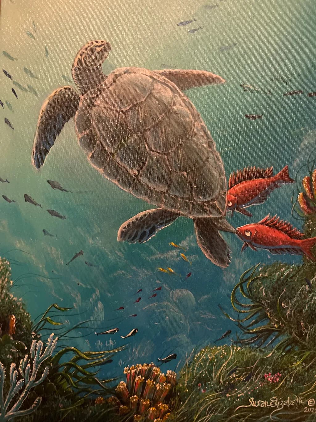 Turtle Reef Passage