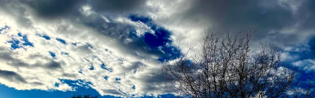 Winter Tree Under Storm Clouds