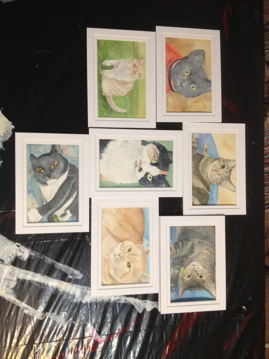 Feline Portrait Collection