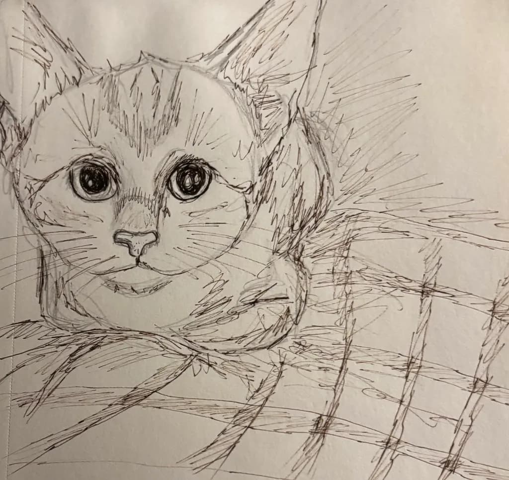 Curious Cat Sketch