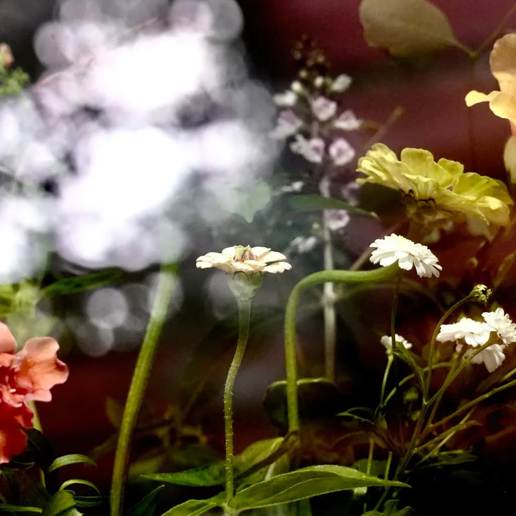 Floral Exposure