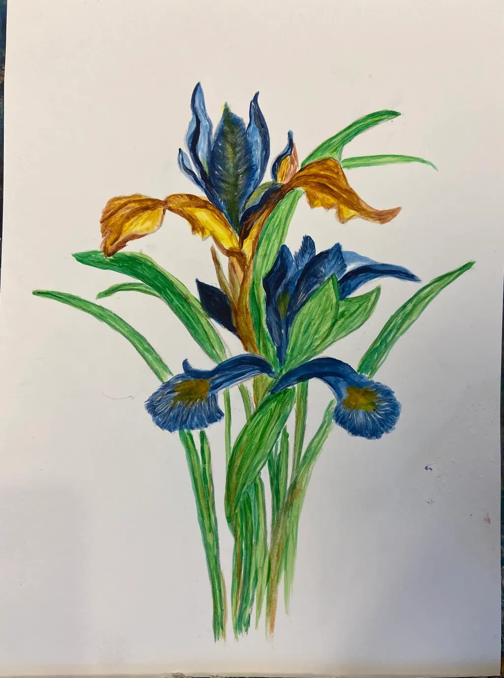 Iris Bouquet