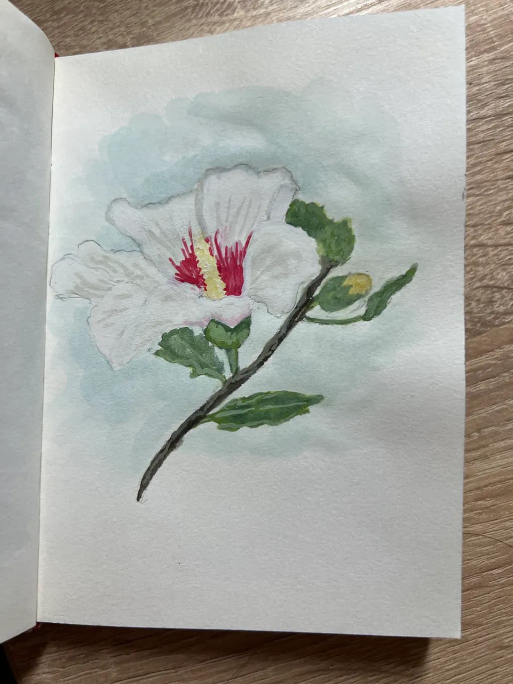 White Hibiscus Branch
