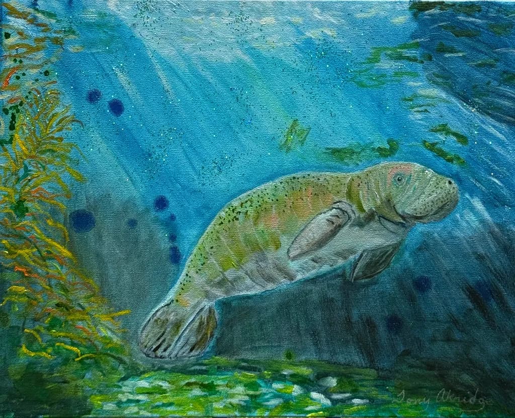 Underwater Manatee