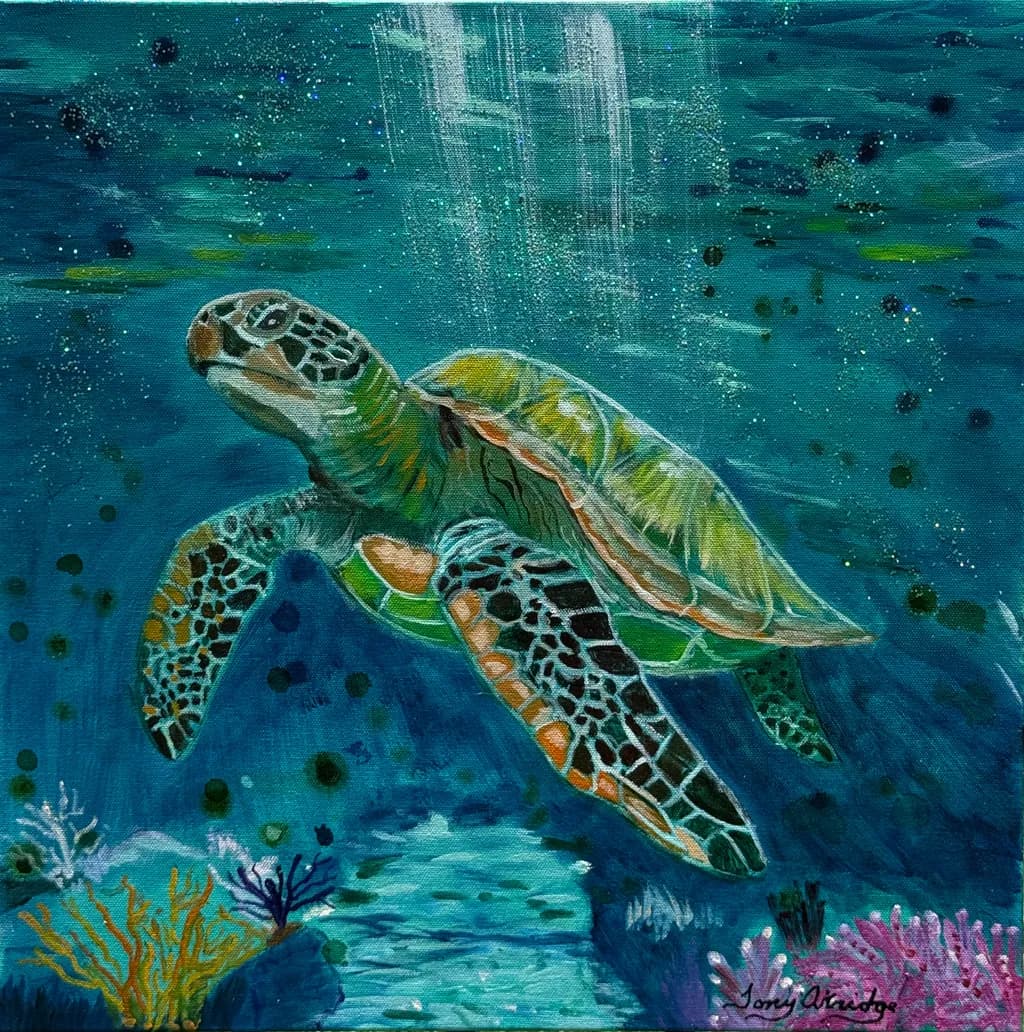 Coral Sea Turtle