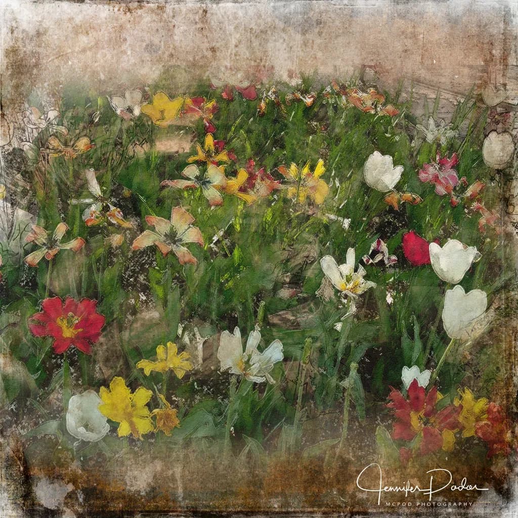Flowers in Bloom