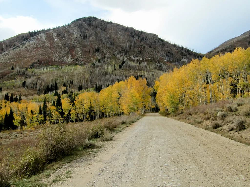 Autumn Mountain Road